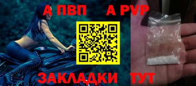 ECSTASY Гай