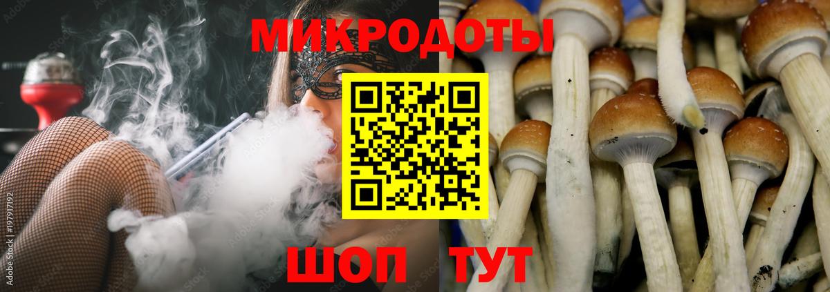 Псилоцибиновые грибы Cubensis Горно-Алтайск